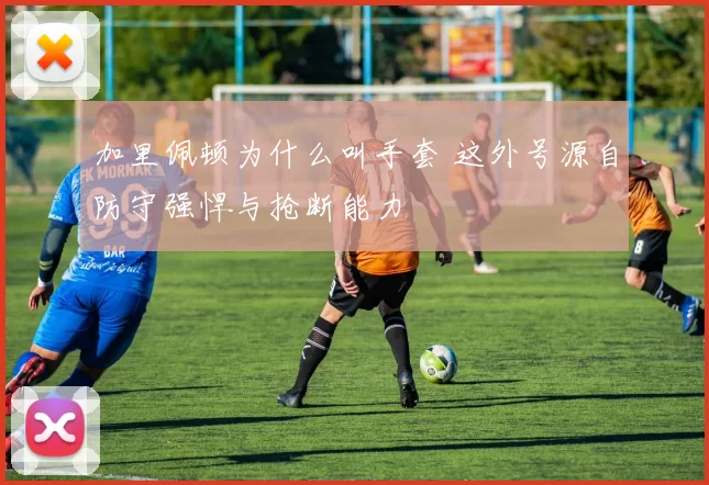 加里佩顿为什么叫手套 这外号源自防守强悍与抢断能力